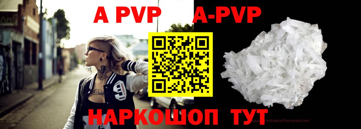А ПВП СК КРИС  Alfa_PVP СК  Сосновый Бор  Вход с VPN 