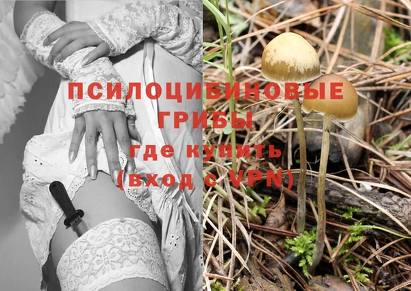 героин Кукмор
