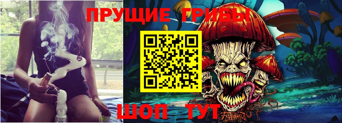 где найти наркотики  Галлюциногенные грибы мухоморы  Вход с VPN  Сосновый Бор  Псилоцибиновые грибы Cubensis 
