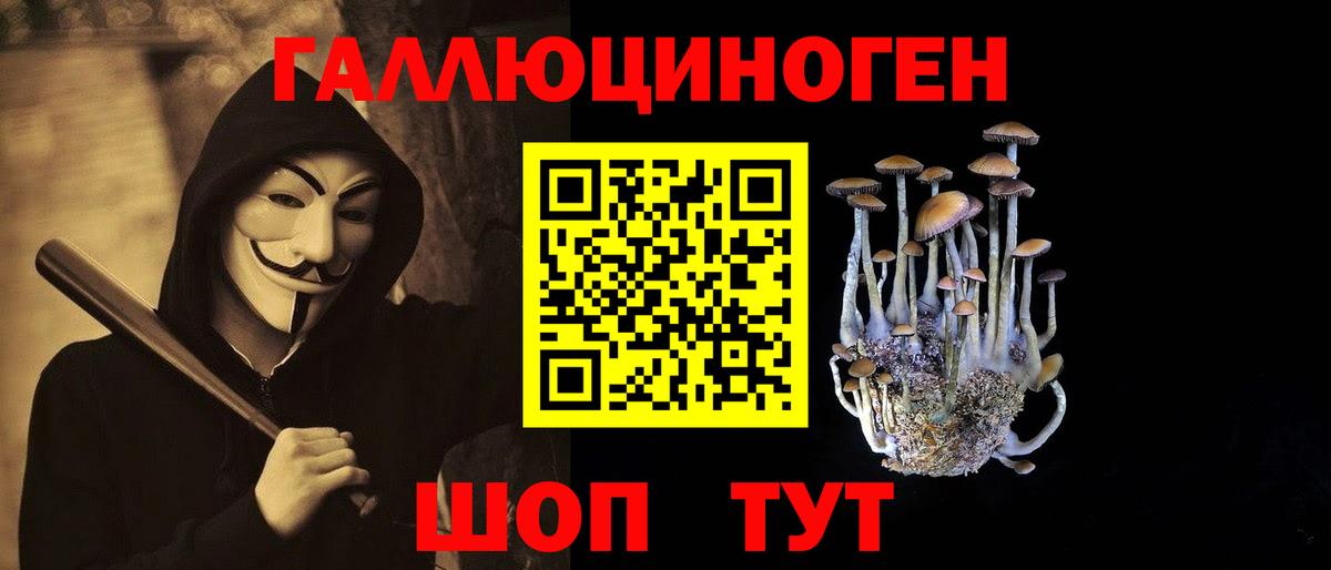 Галлюциногенные грибы прущие грибы Сосновый Бор